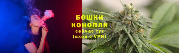 гашик Зеленокумск