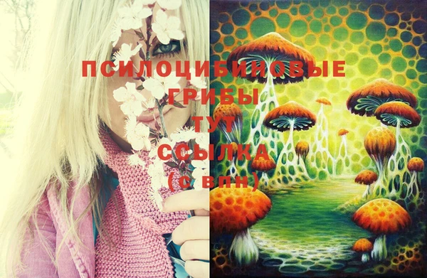 синтетический гашиш Зерноград