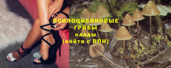 гашик Зеленокумск