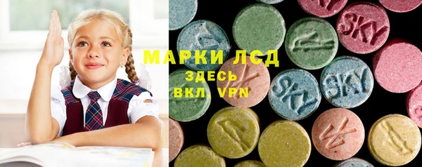 гашик Зеленокумск