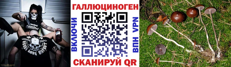 Галлюциногенные грибы мицелий  Канск 