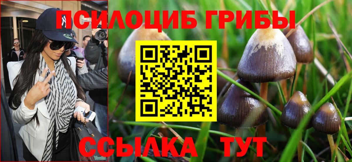 Псилоцибиновые грибы Magic Shrooms Канск